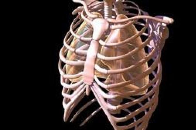 Движение грудной. Наталья Королёва. Грудная клетка и дыхание. Форма и движения